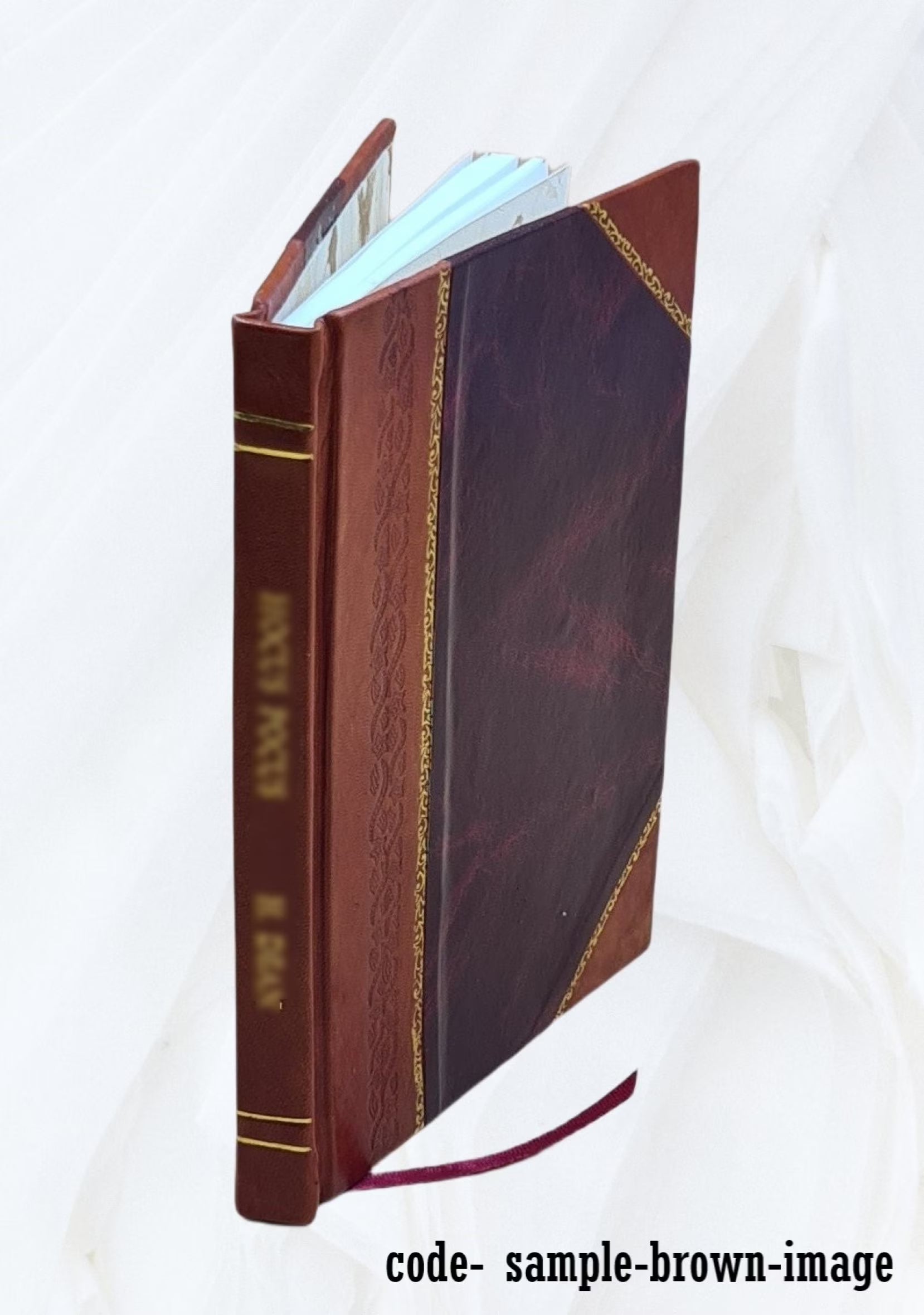 Mathematical essays and recreations R126230