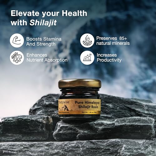 Pure Himalayan Shilajit Resin 30 gm U221