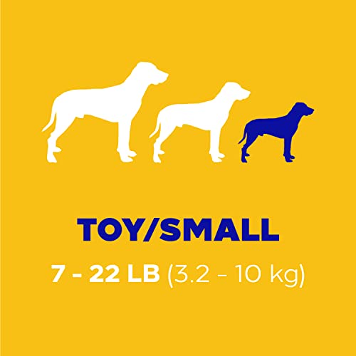 Toy/Small Dog Dental Treats Original Flavor Dental Bones, 1.68 lb. Value Pack (108 Treats) R20806