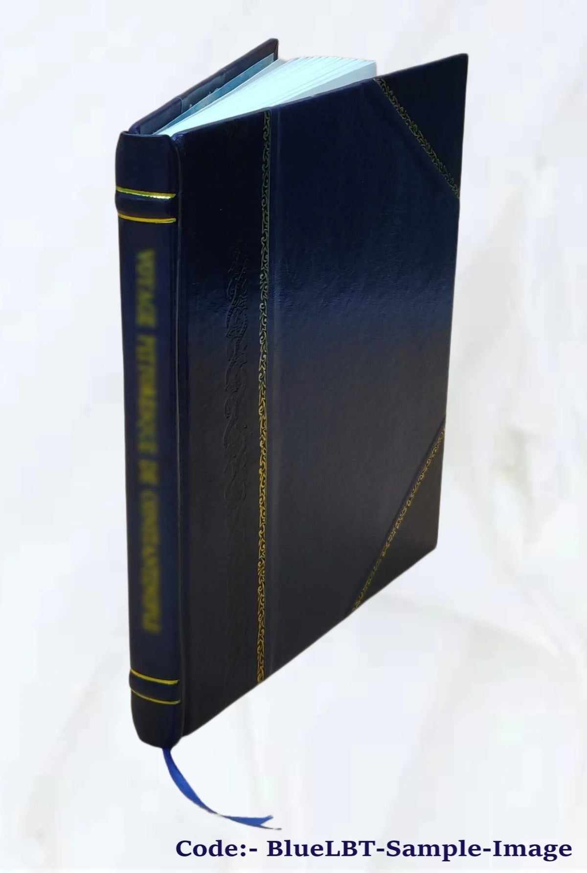 Mathematical essays and recreations R126230