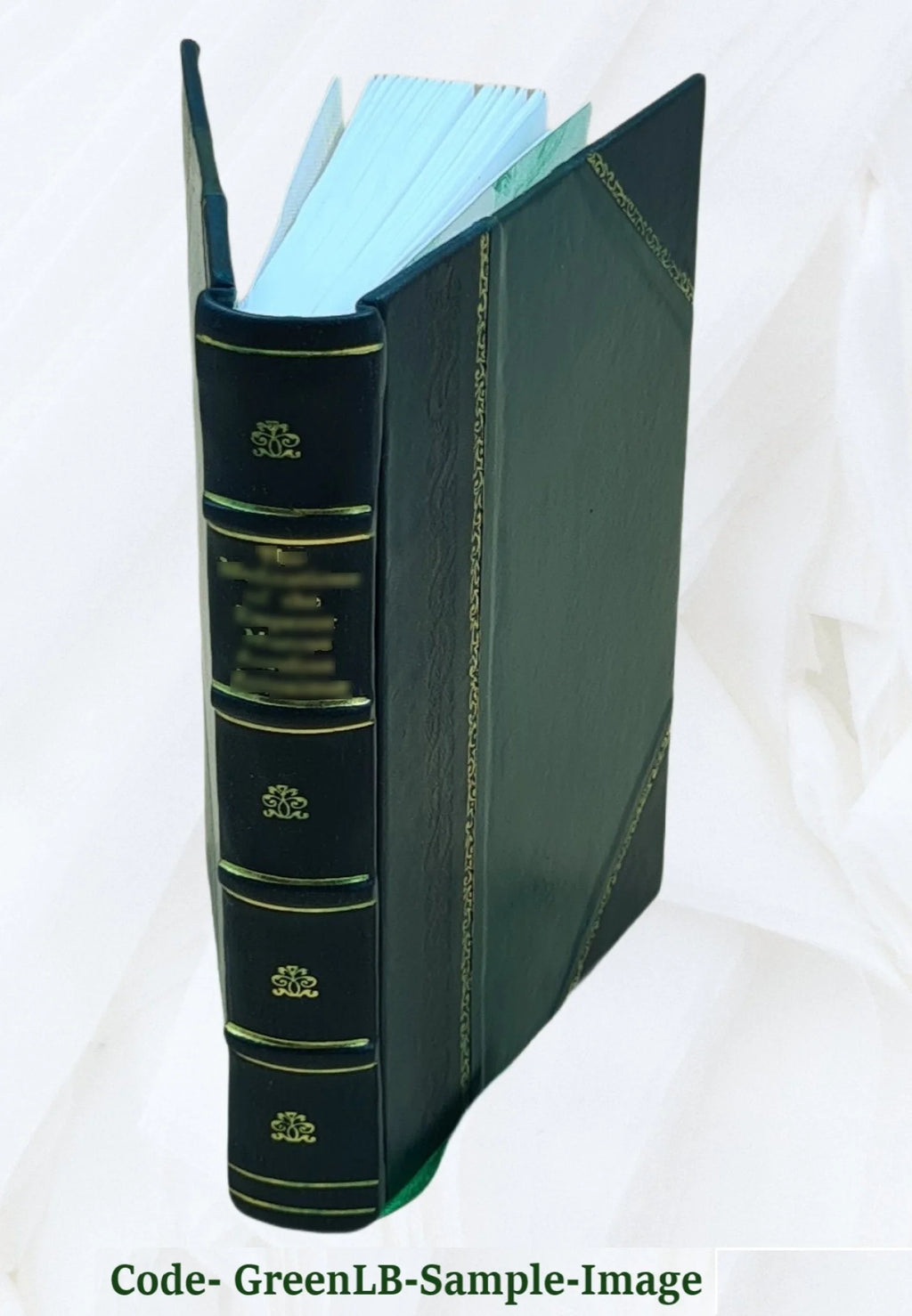 Shipwreck Captivity And Escape From France [Leather Bound] L8891