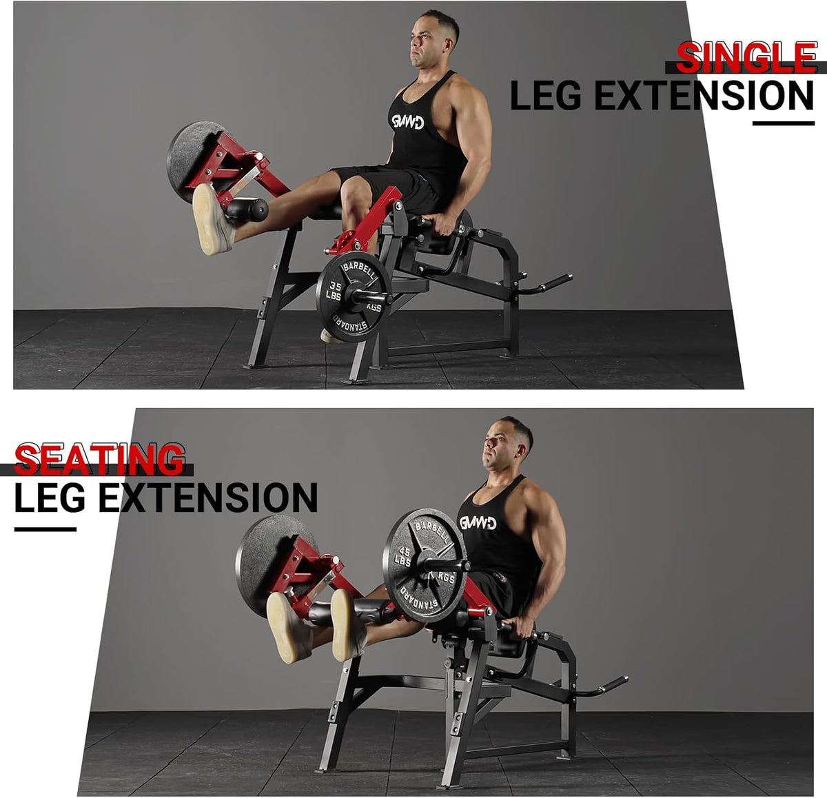 Adjustable Leg Extension and Curl Machine T634
