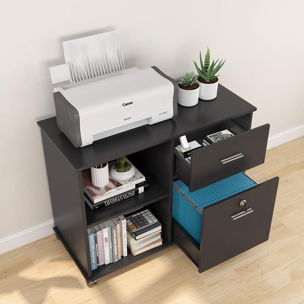 2 Drawer Mobile Lateral File Cabinet with Lock V43207