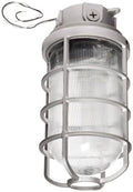 Vaporproof 22W 3in Box 1/2in Hub with Glass Globe Cast Guard Y503914