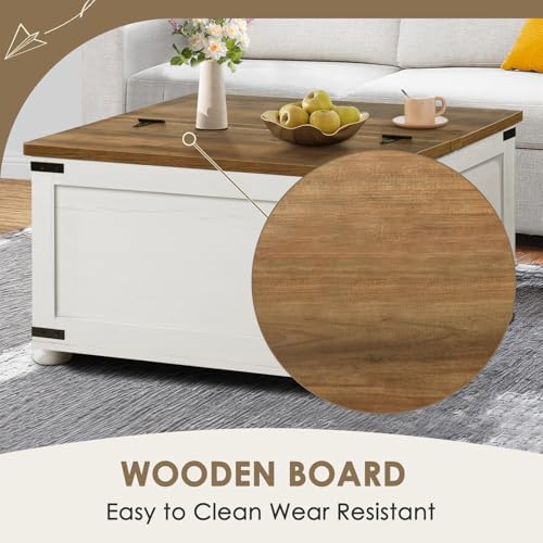 Black Lift Top Coffee Table with Storage V6151