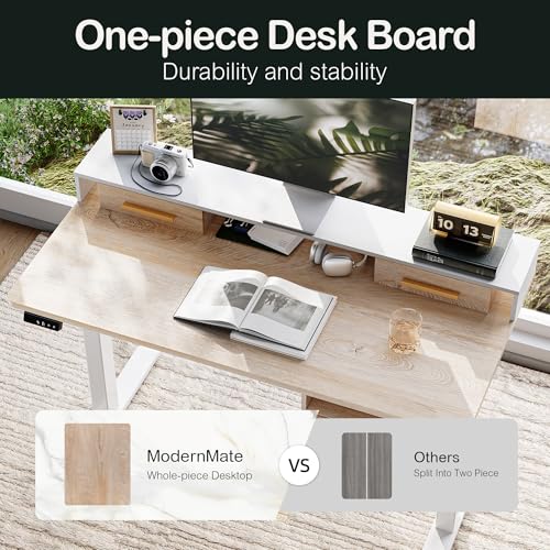 47.2 x 23.6 Inch Electric Height Adjustable Standing Desk with 4 Drawers H24395