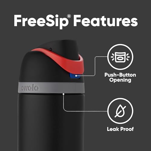 24 oz Insulated Stainless Steel Water Bottle with Straw E70257