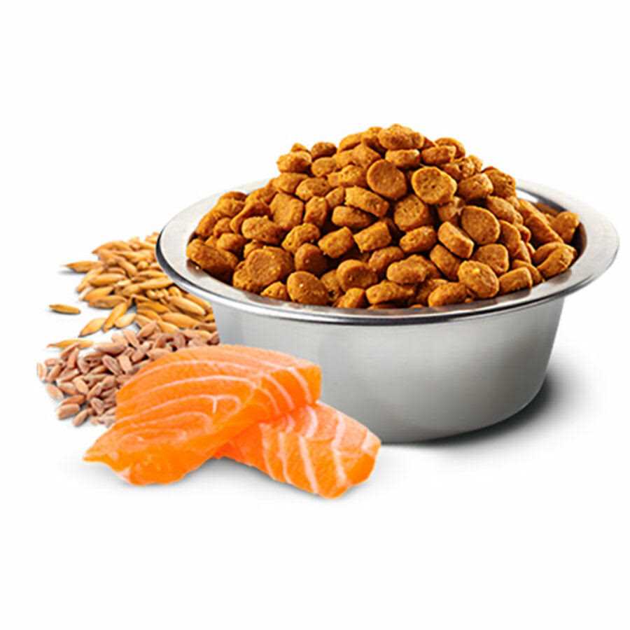 Spelt, Oats Tropical Selection Salmon Medium / Maxi Adult Dog Food K1471