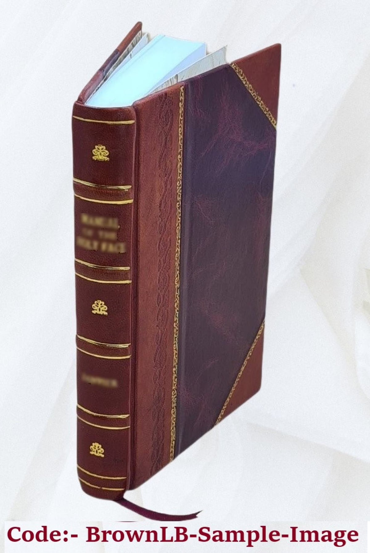 Leather Bound Book D4165