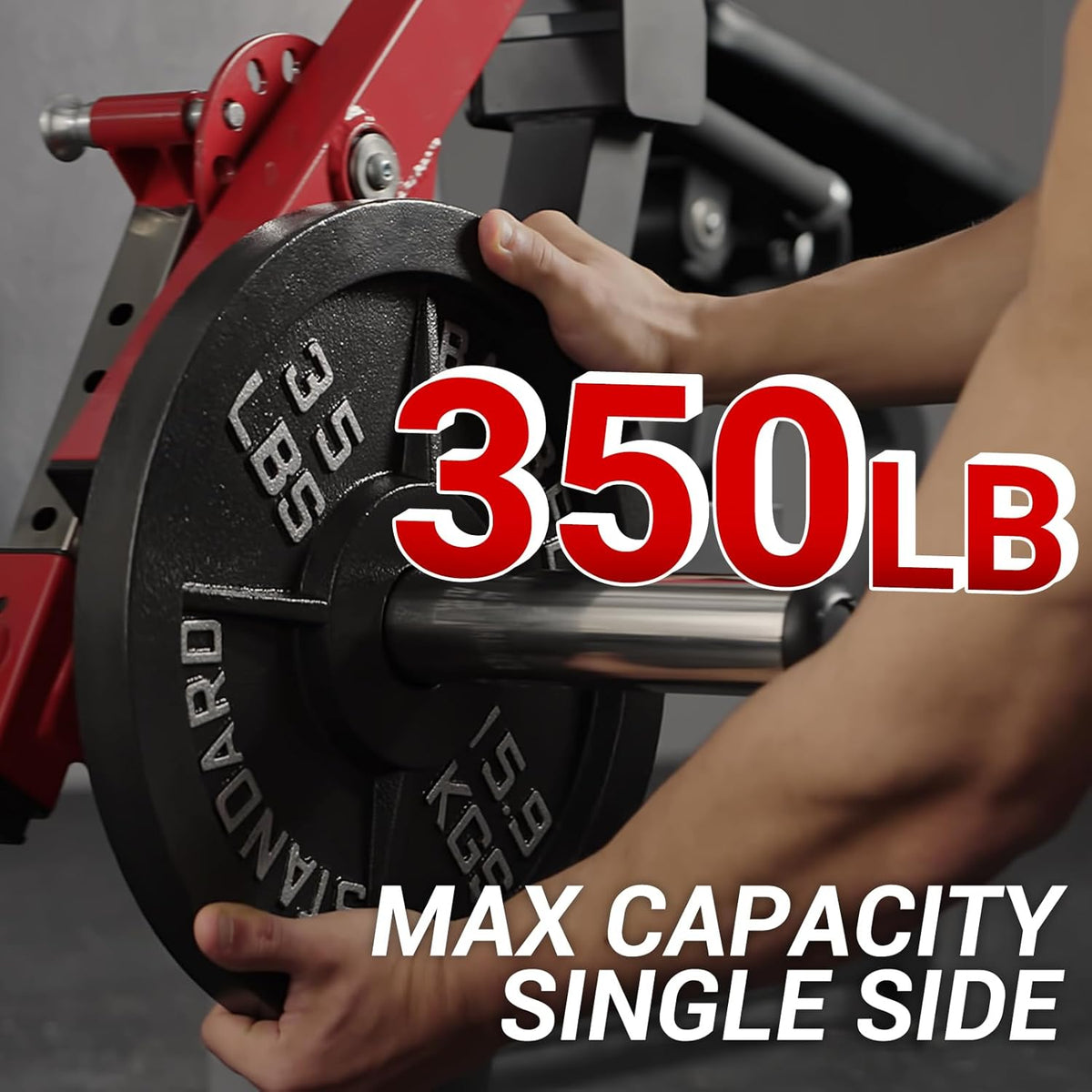 Adjustable Leg Extension and Curl Machine T634
