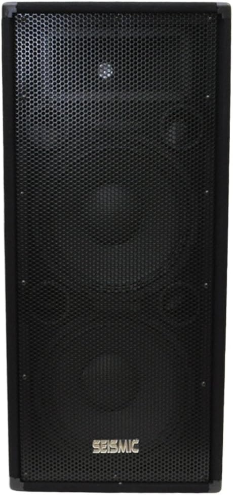 Pair of Dual 12 PA/DJ Speaker Cabinets with Titanium Horns, 700 Watts RMS per Cabinet Z21368
