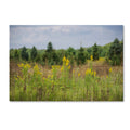 Canvas Art K549055