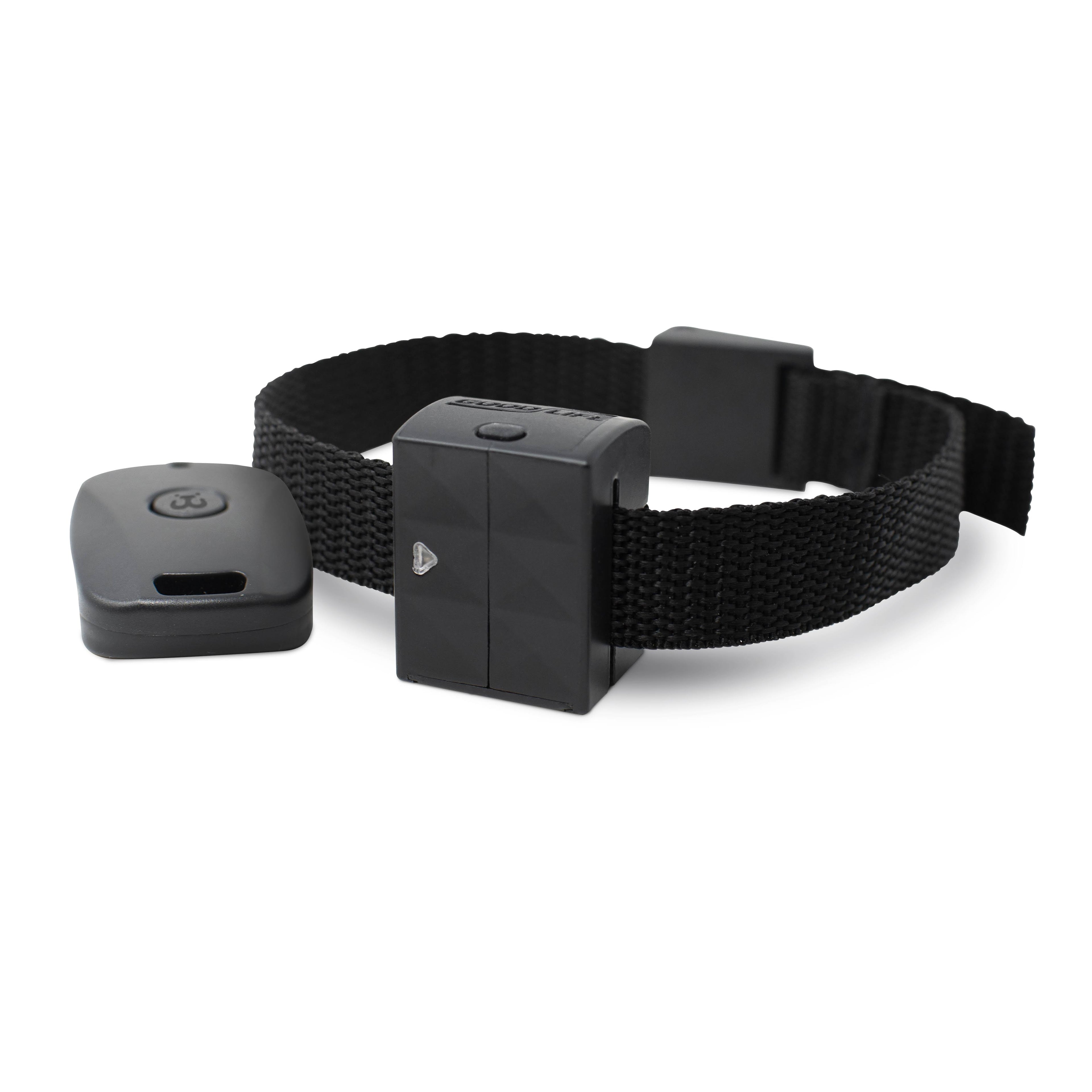 Cat Training Collar X166