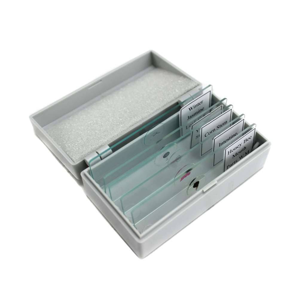 500X Biological Microscope K869304