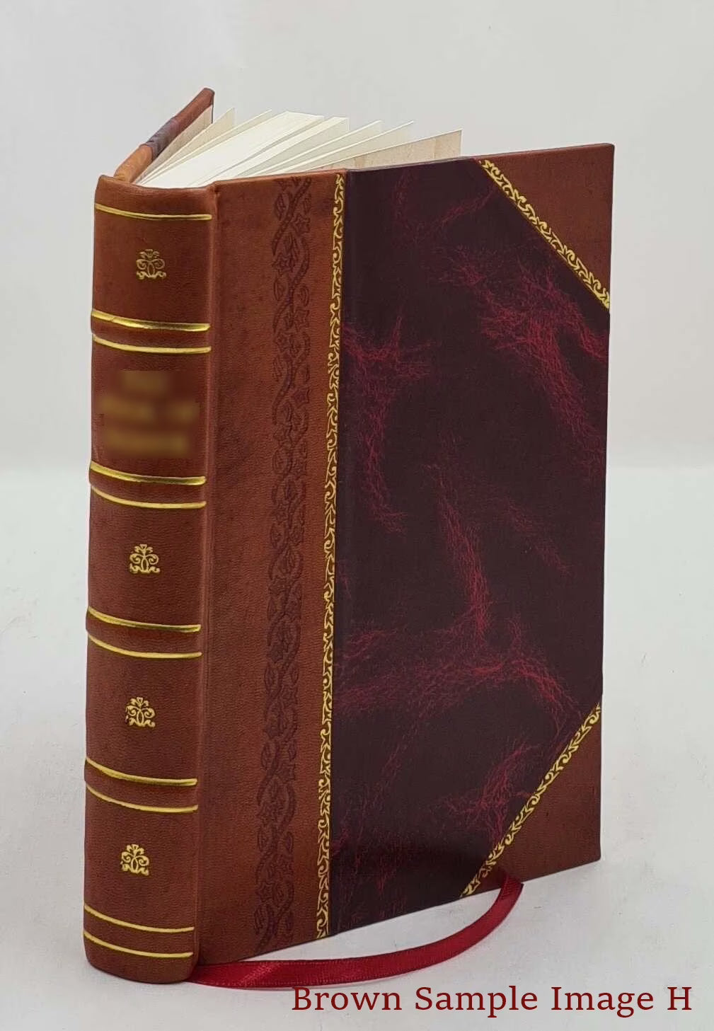 Shipwreck Captivity And Escape From France [Leather Bound] L8891