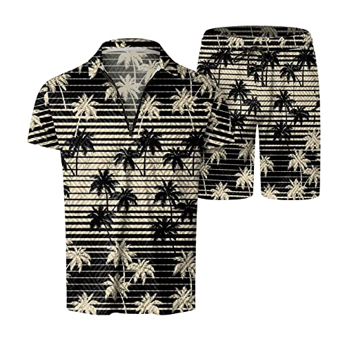 Mens Printed Short Sleeve 2 Piece Outfits Sets U287
