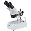 Student Forward Binocular Stereo Microscope 10X-20X-40X Y408