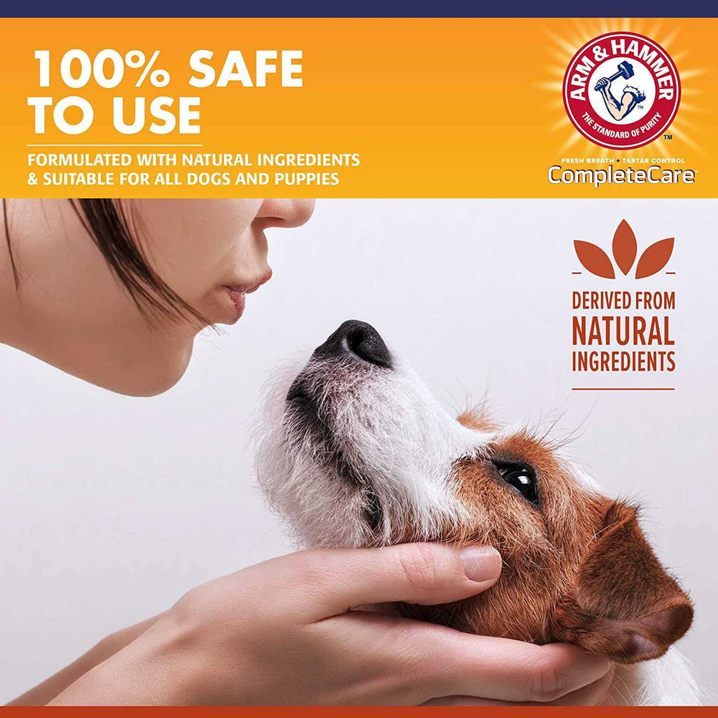 Mint Flavor Dog Dental Spray T899
