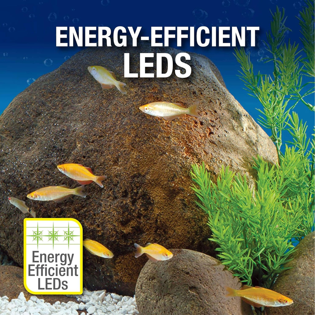 20 Gallon Complete Tropical Fish Tank Kit with LED Lighting X4371