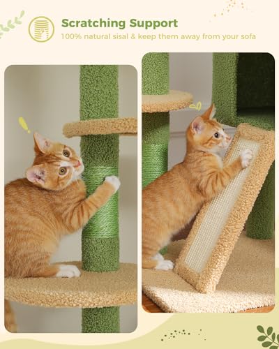 Brown Mushroom Cat Tree Adjustable Height with Cat Condo Hammock Scratching Post W53085