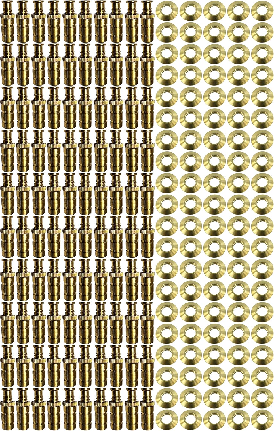 Brass Anchors with Beauty Collar Discs - 100 Pack I8682