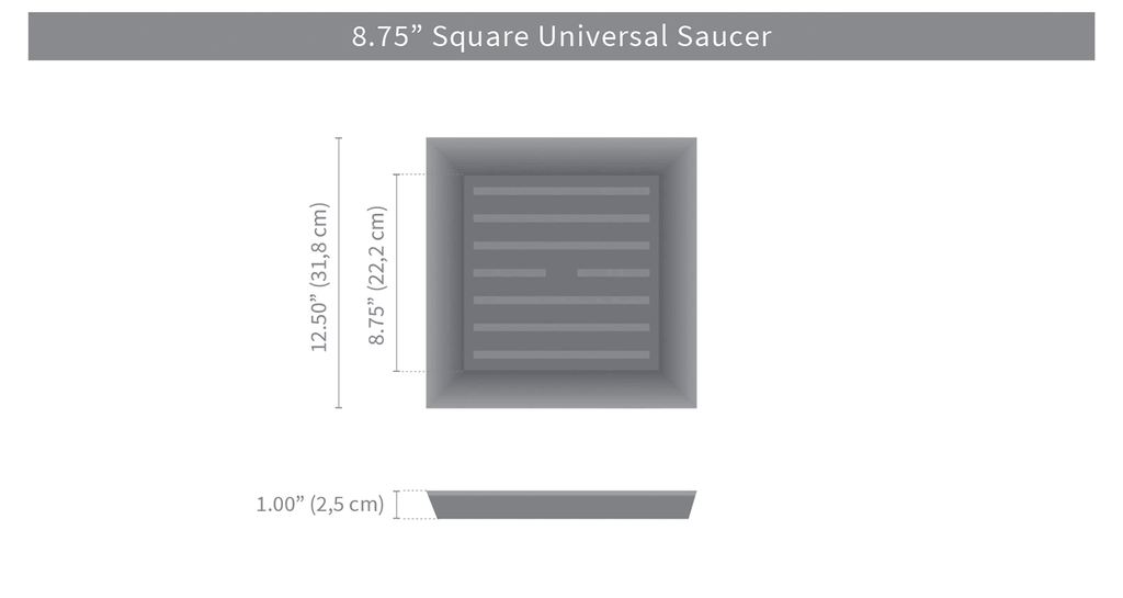 Ash Square Saucer T1596
