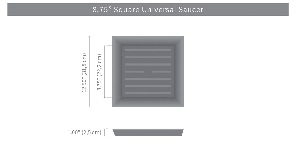 Ash Square Saucer T1596