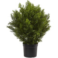 2'H Artificial Cedar Bush With Pot, Green/Black Q892