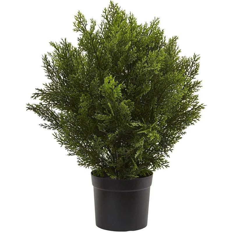 2'H Artificial Cedar Bush With Pot, Green/Black Q892