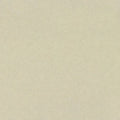 Western White Matte Finish 4 ft. x 8 ft. Laminate Sheet D5976