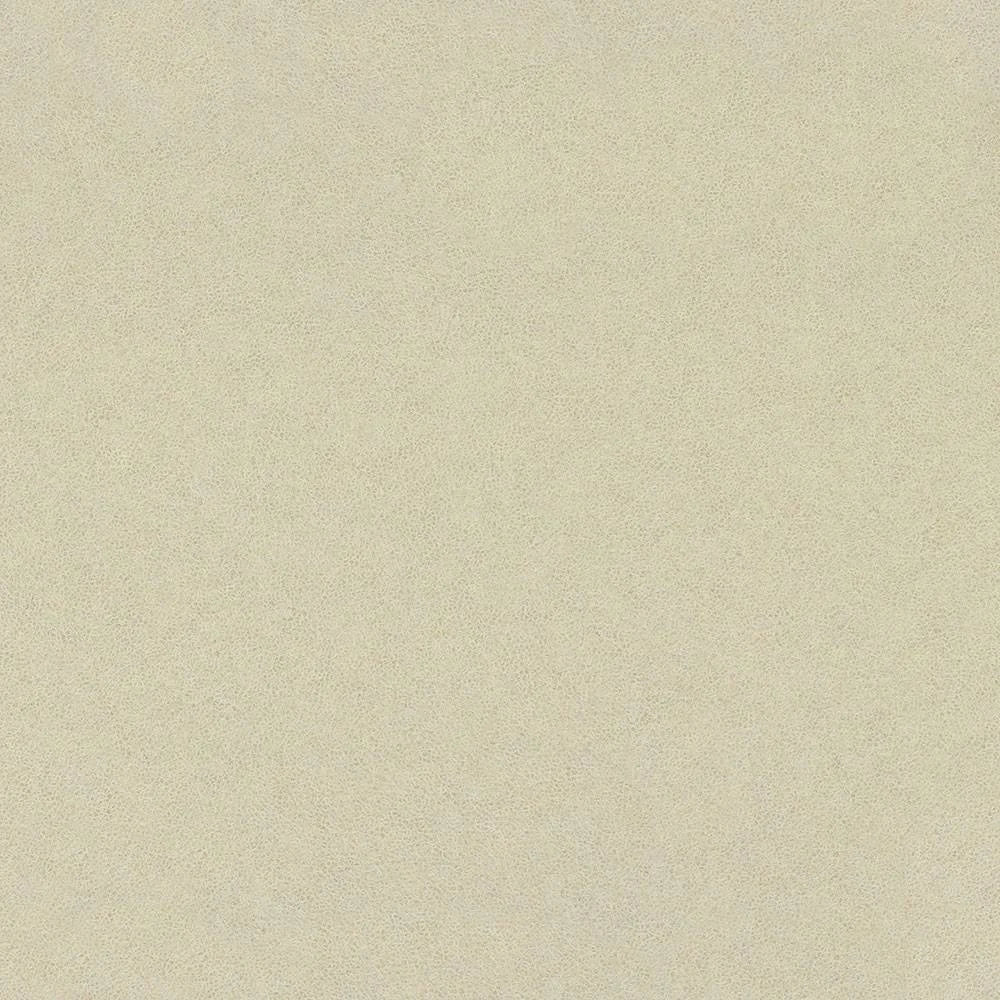 Western White Matte Finish 4 ft. x 8 ft. Laminate Sheet D5976