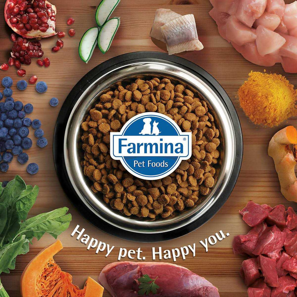 Lamb Dry Cat Food O184329