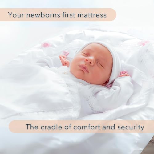 Bassinet Cradle Mattress Pad Oval 13X31 O8566