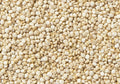 White Quinoa Grains E9335