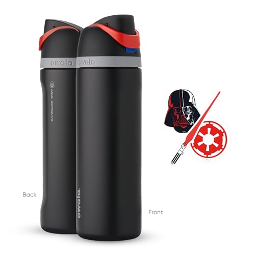 24 oz Insulated Stainless Steel Water Bottle with Straw E70257