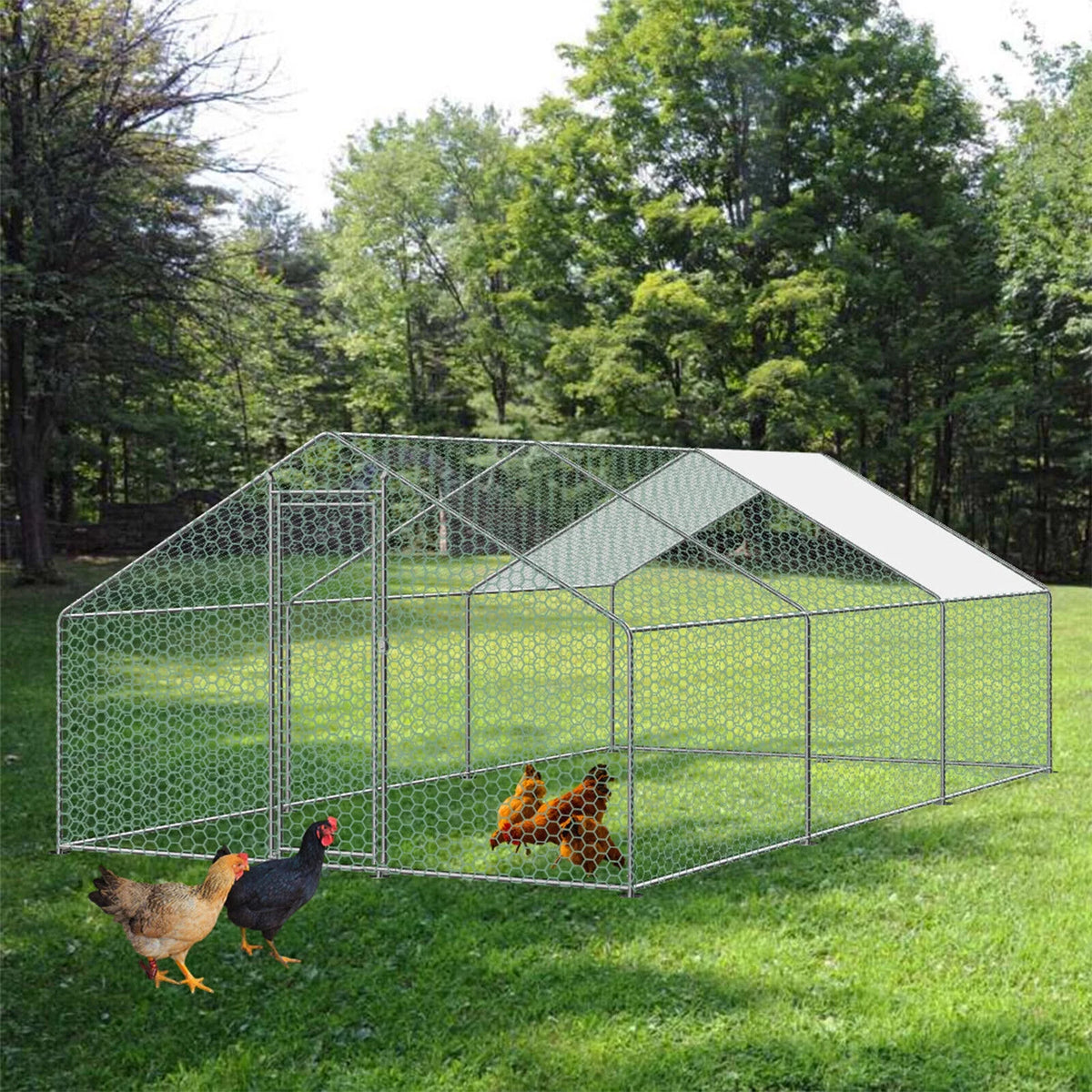 20'x10' Chicken Run Coop Hen House Enclosure Poultry Cage U578