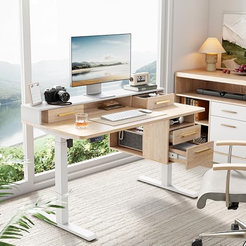 47.2 x 23.6 Inch Electric Height Adjustable Standing Desk with 4 Drawers H24395