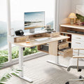 47.2 x 23.6 Inch Electric Height Adjustable Standing Desk with 4 Drawers H24395