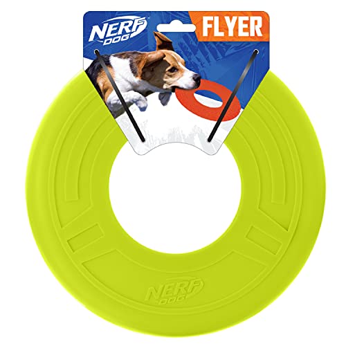 Blue 10 Inch Rubber Flying Disc Dog Toy H583