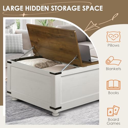 Black Lift Top Coffee Table with Storage V6151