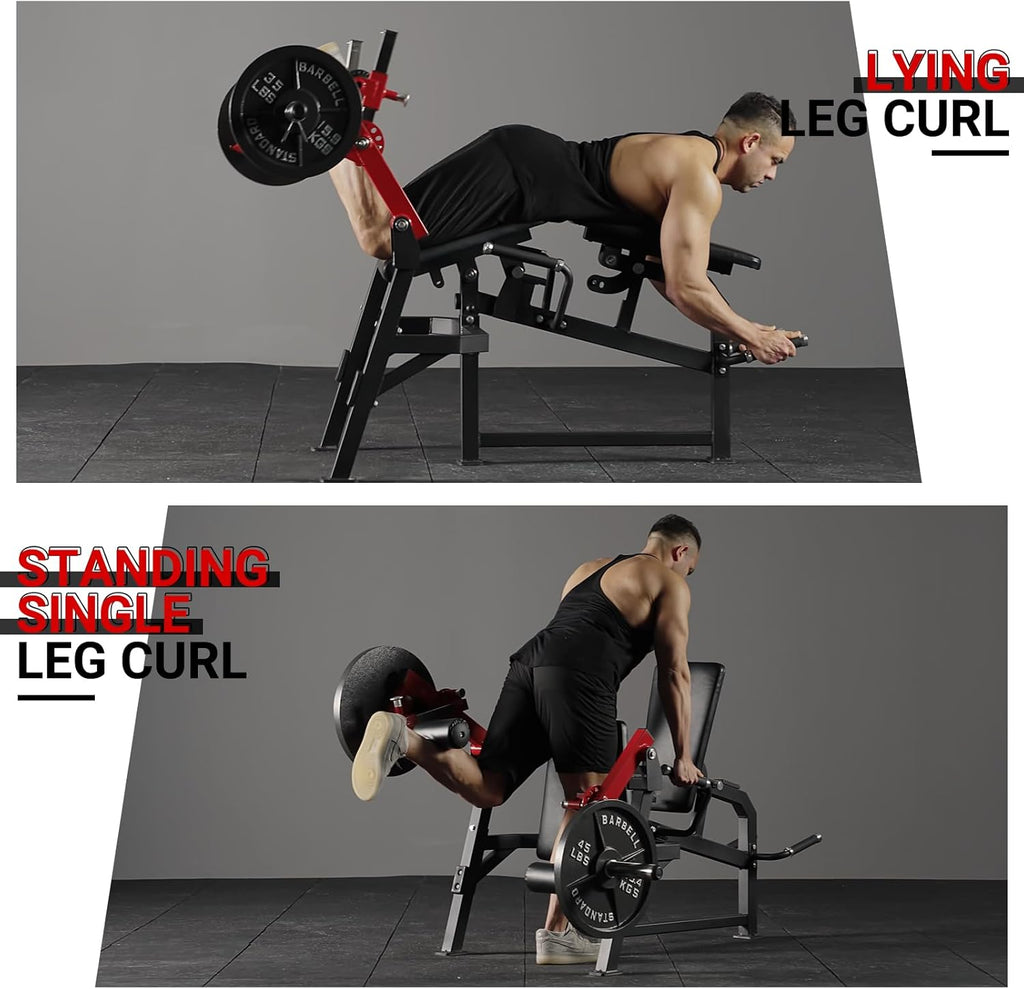 Adjustable Leg Extension and Curl Machine T634