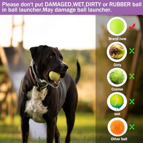 Automatic Dog Ball Thrower Launcher with 3 Launching Distance C7373