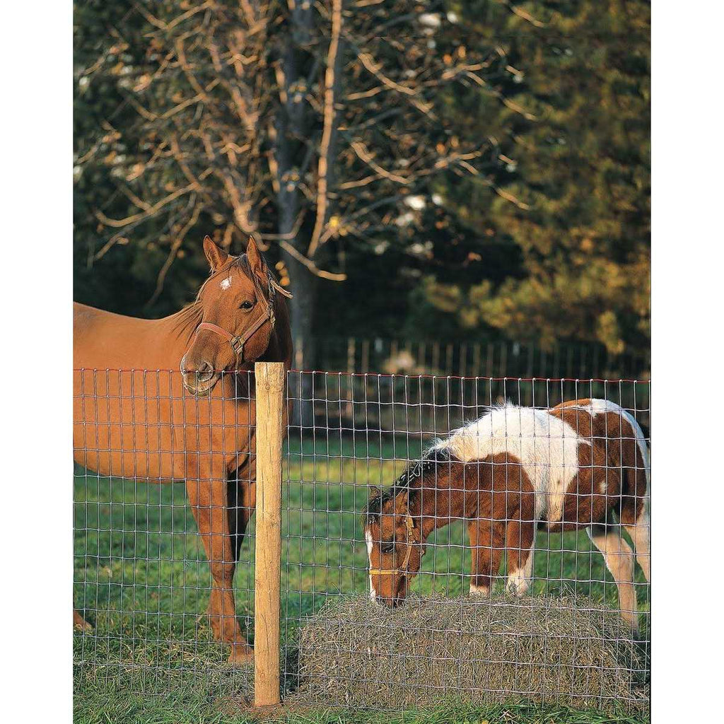Non-Climb Horse Fence 60 in. x 100 ft Q5041