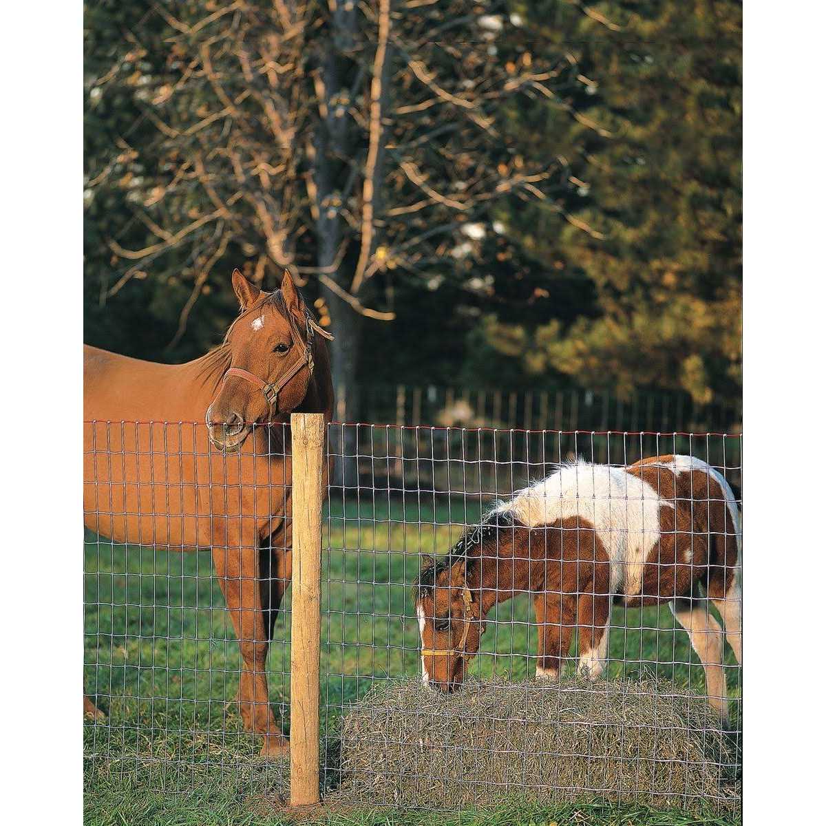 Non-Climb Horse Fence 60 in. x 100 ft Q5041