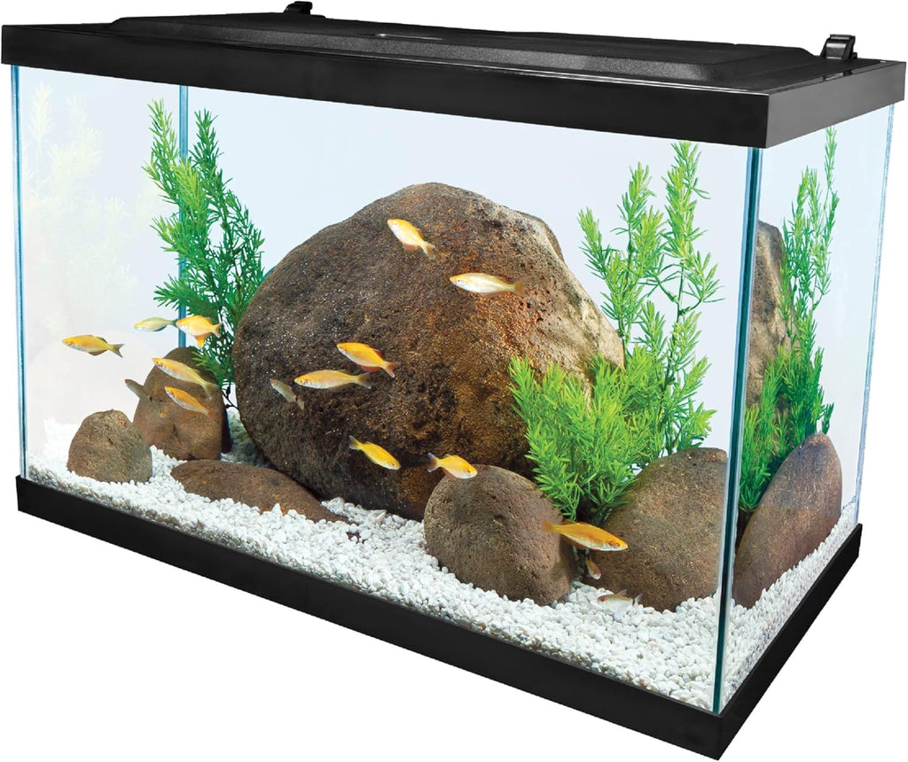 20 Gallon Complete Tropical Fish Tank Kit with LED Lighting X4371