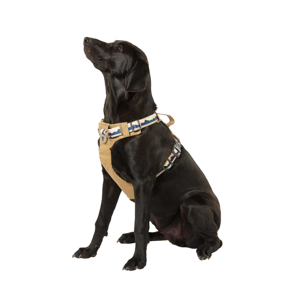 Lightweight Dog Harness L6572