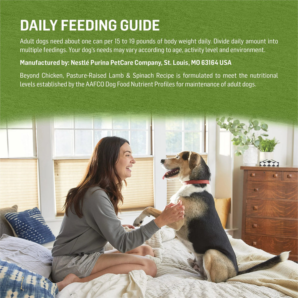 13 oz Cans (12 Pack) Wet Dog Food Chicken Lamb Spinach Y95852