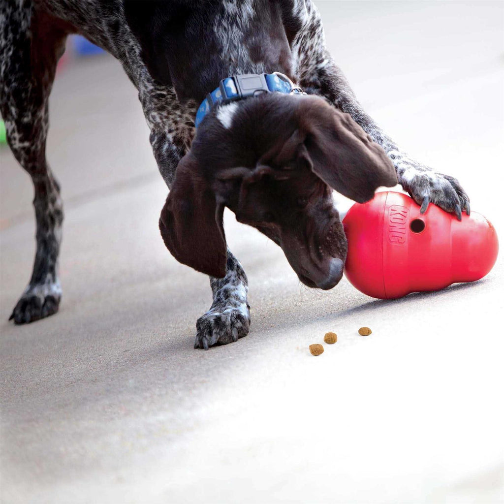 KONG Wobbler Dog Toy C874