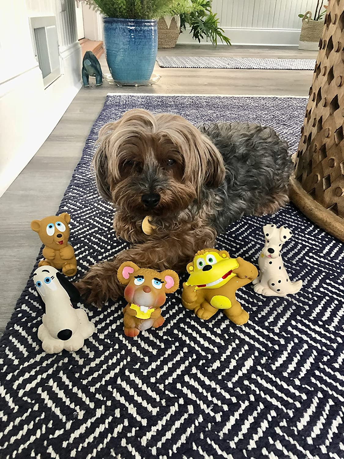 6 Extra Small Natural Rubber Squeaky Toys R6095
