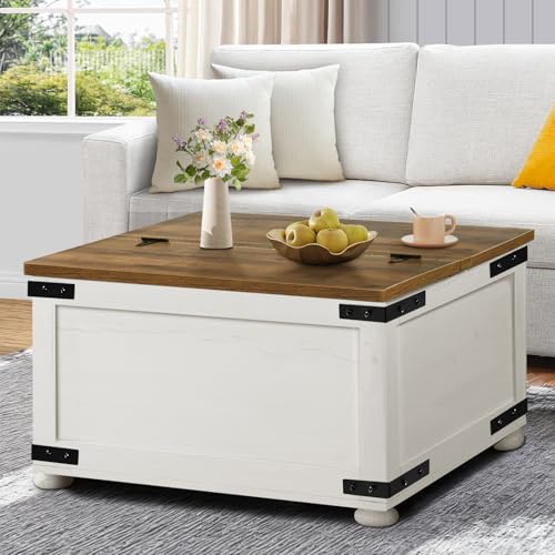 Black Lift Top Coffee Table with Storage V6151